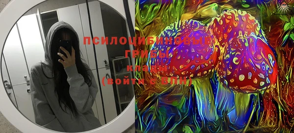 прущий лед Аркадак