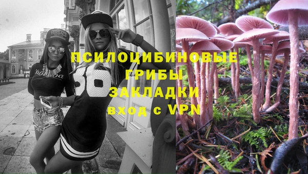 прущий лед Аркадак