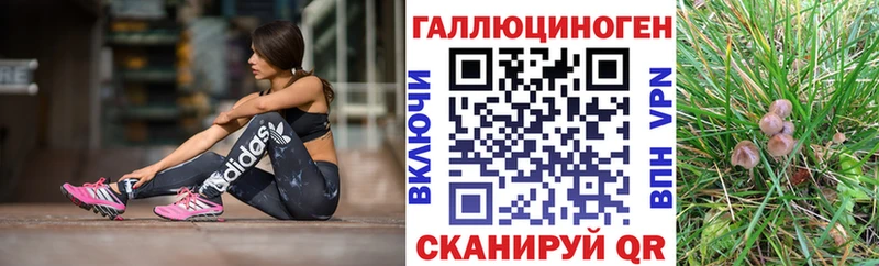 Псилоцибиновые грибы MAGIC MUSHROOMS  Купить где  Судогда 